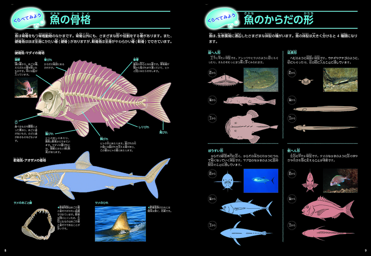 サムネイル画像5