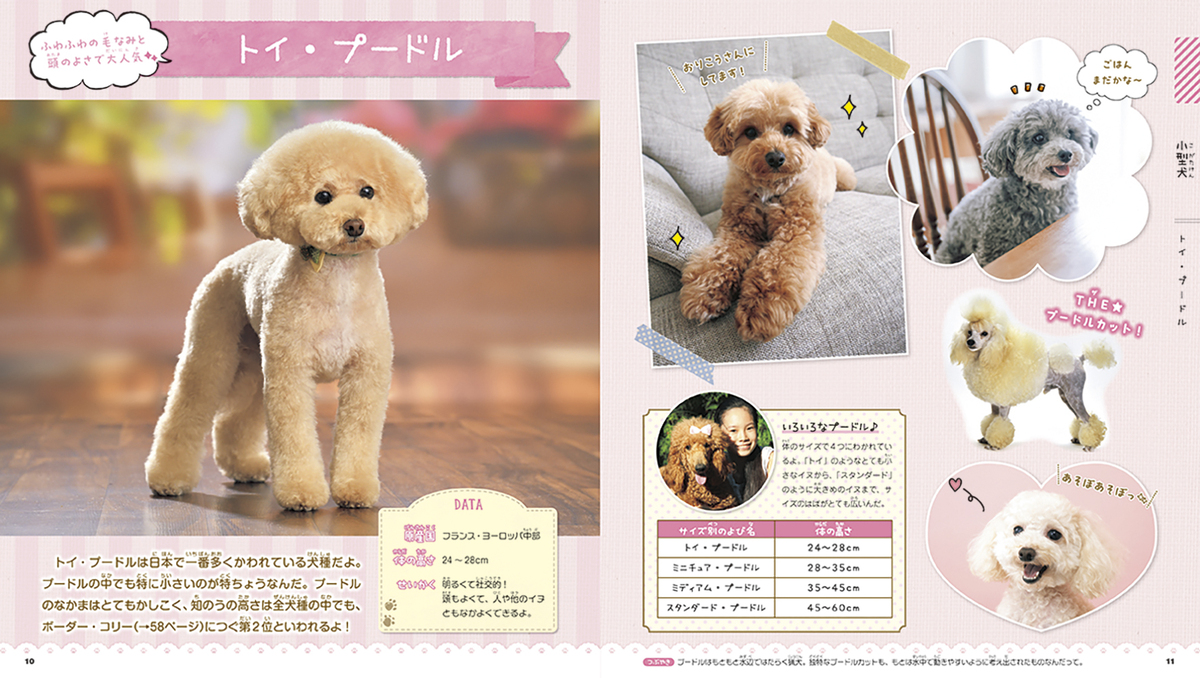 サムネイル画像1
