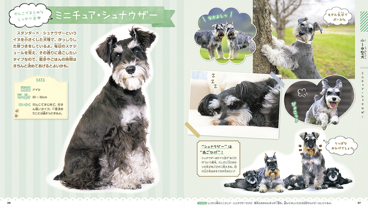 サムネイル画像2