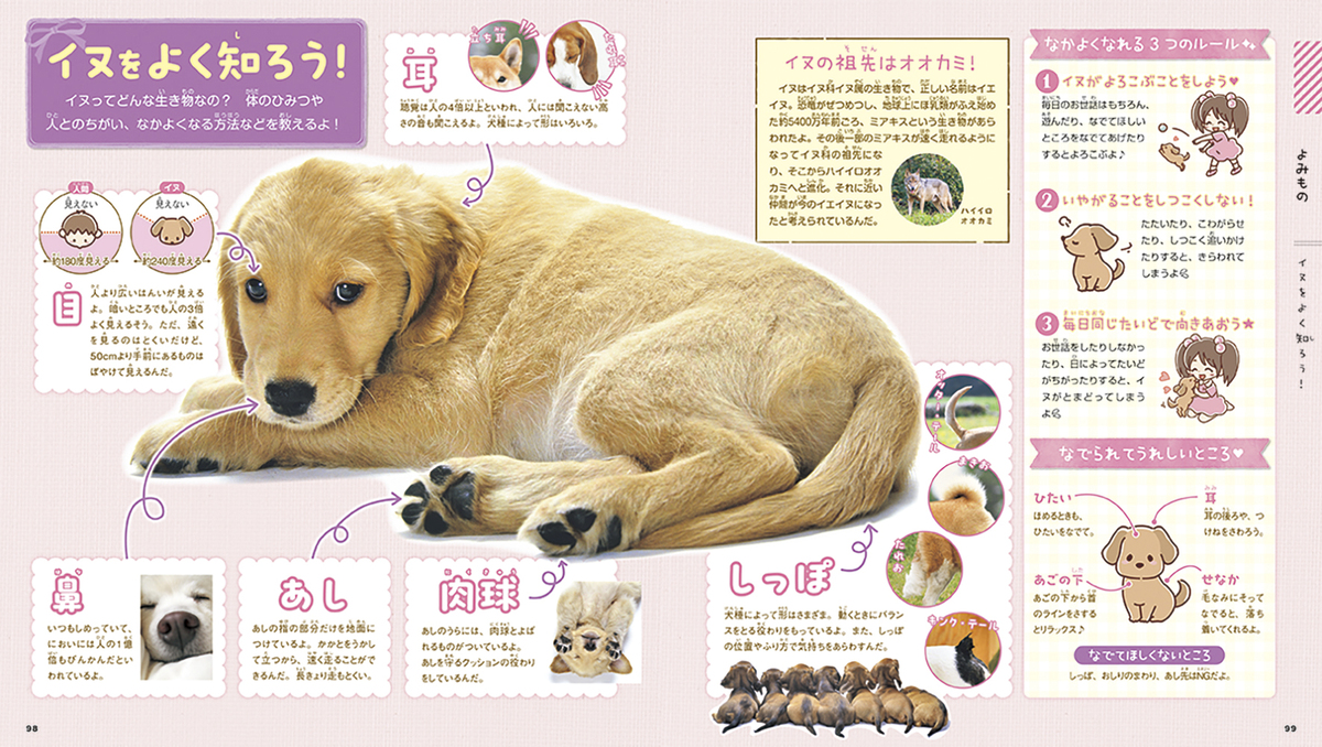 サムネイル画像4