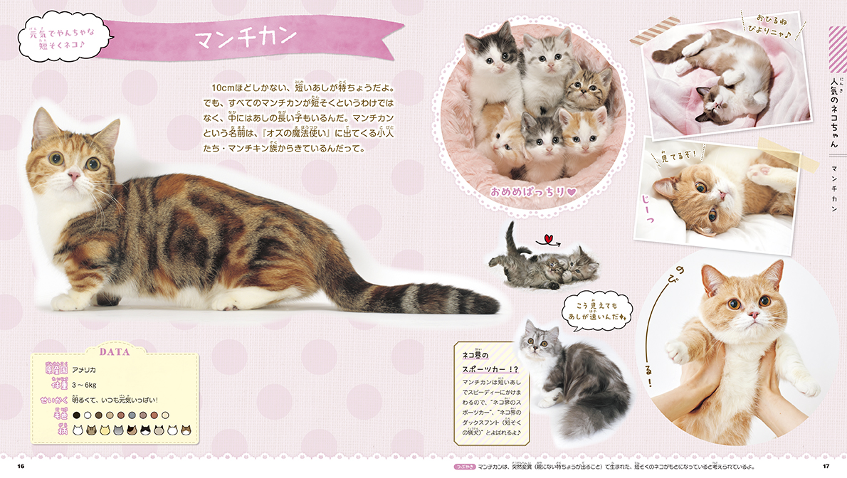 サムネイル画像2