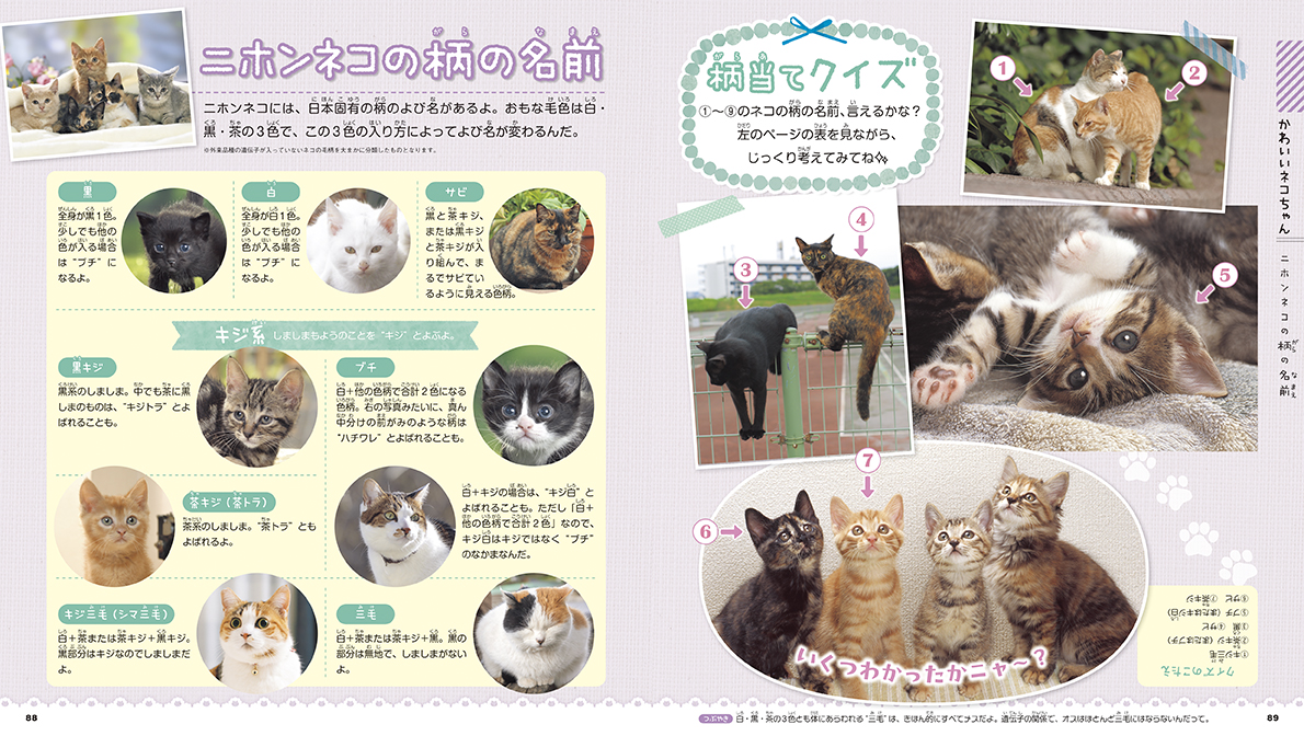 サムネイル画像4