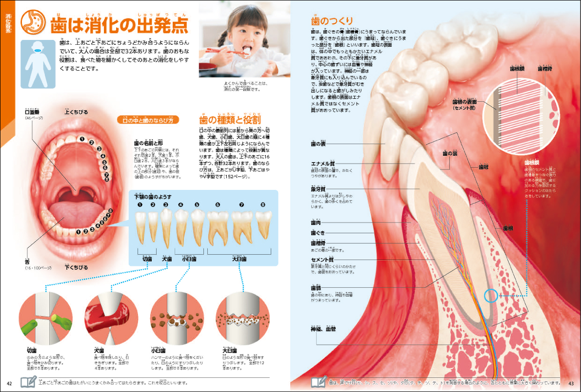 サムネイル画像2