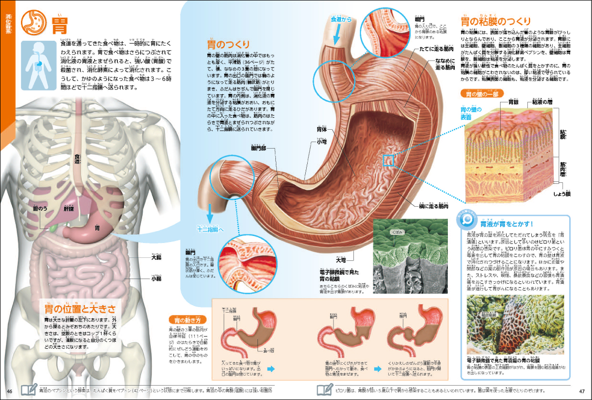 サムネイル画像3