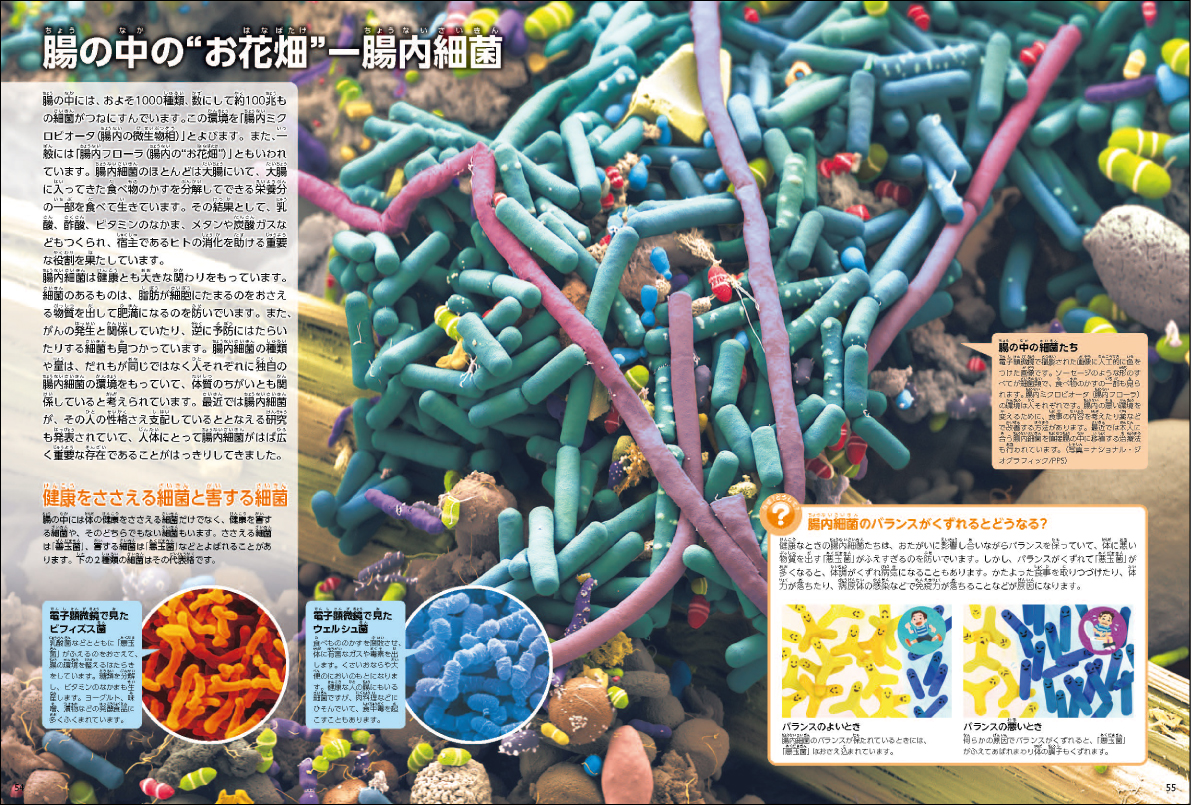 サムネイル画像4