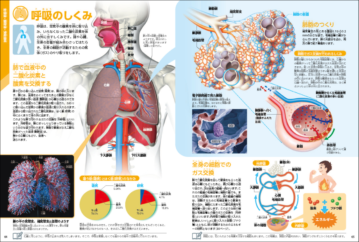 サムネイル画像5
