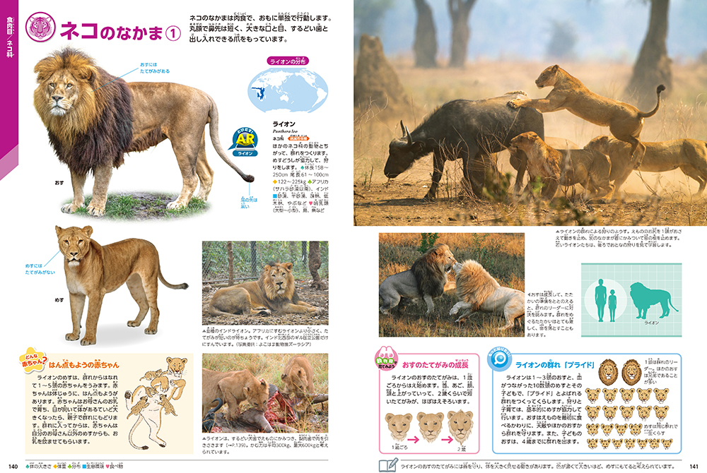 サムネイル画像1