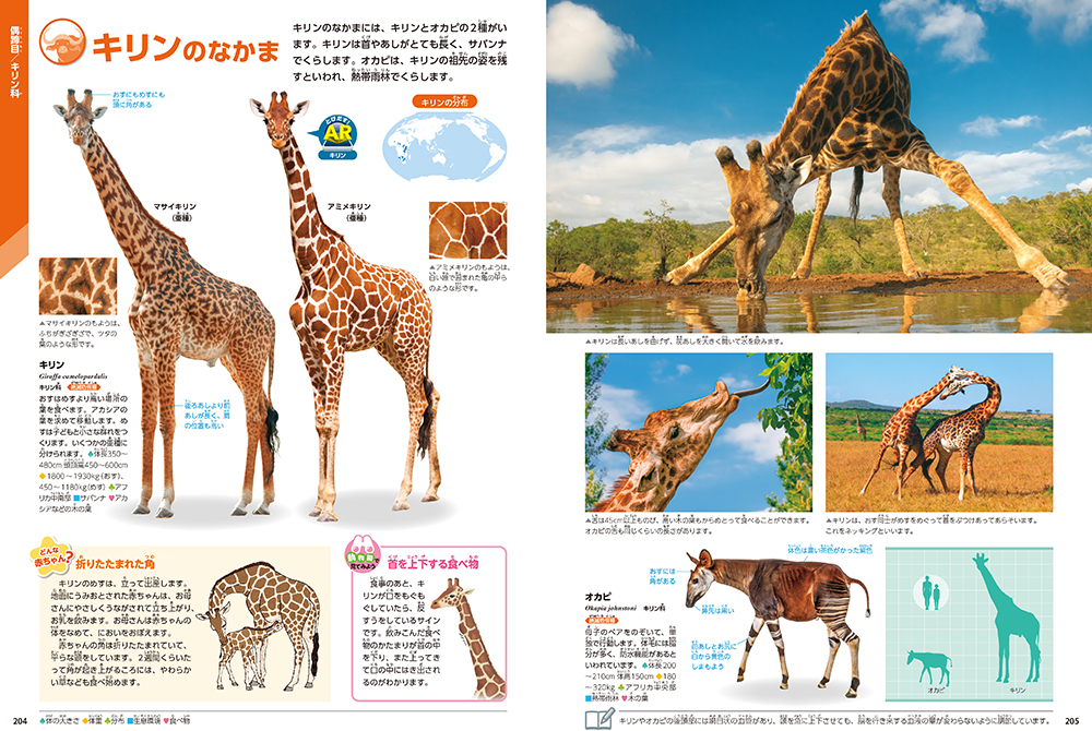 サムネイル画像2
