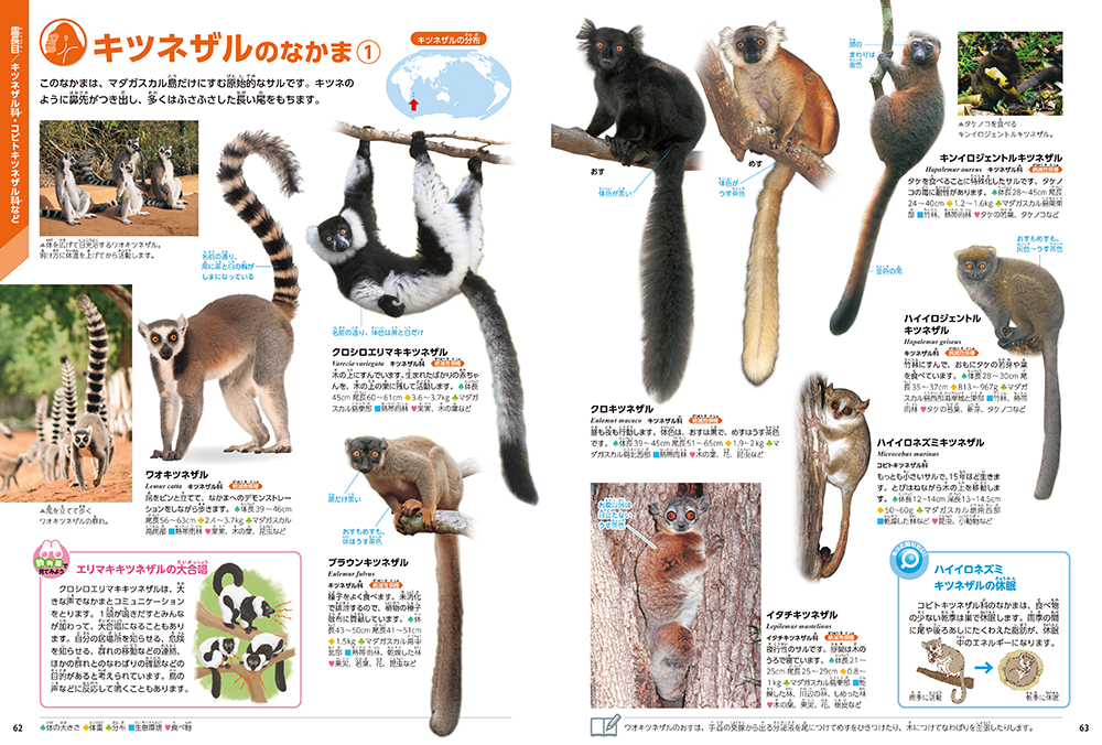 サムネイル画像3