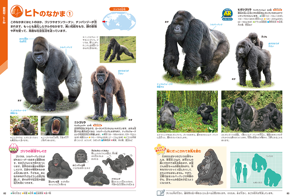 サムネイル画像4