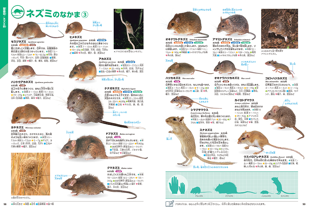 サムネイル画像5