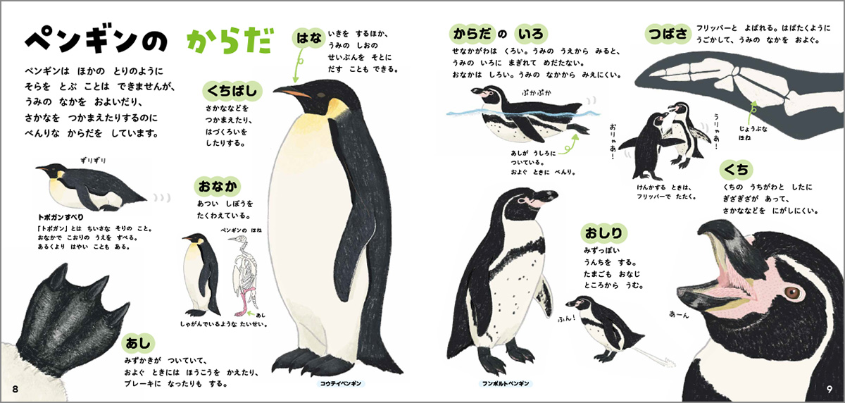 サムネイル画像2