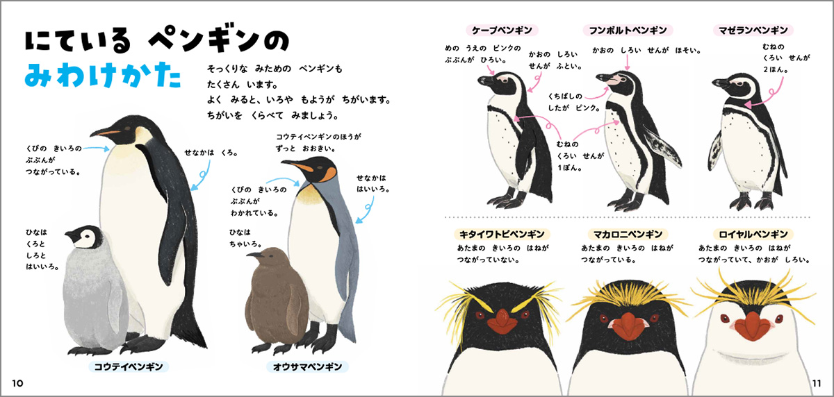 サムネイル画像3