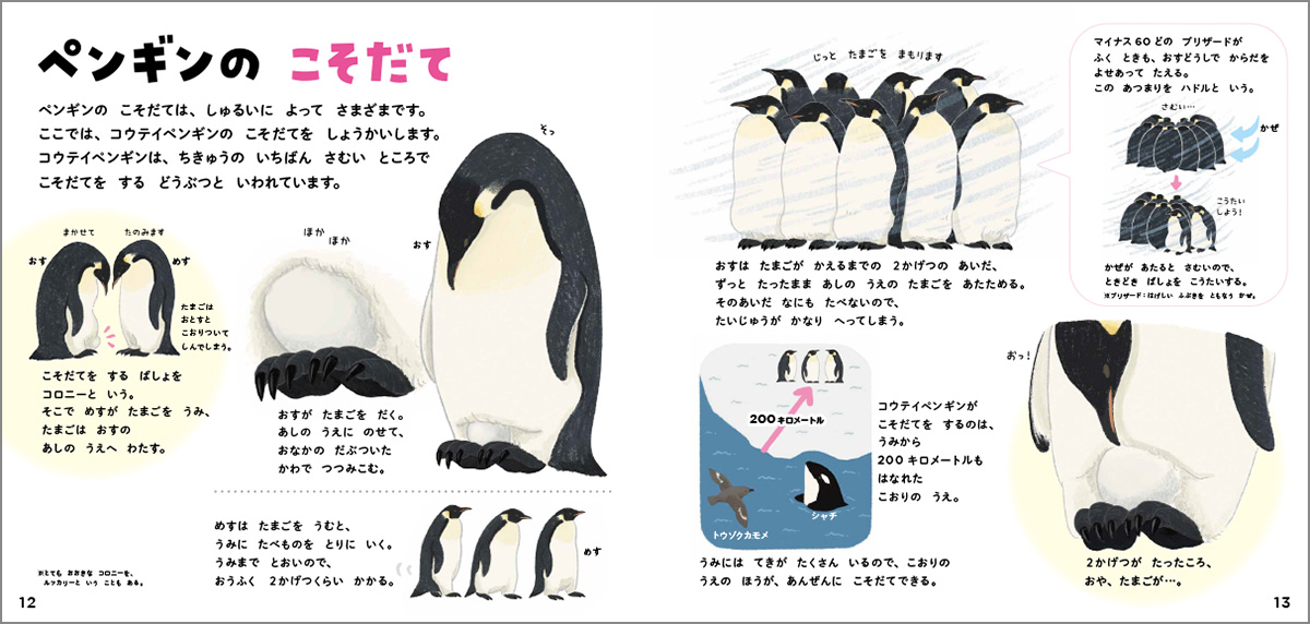 サムネイル画像4