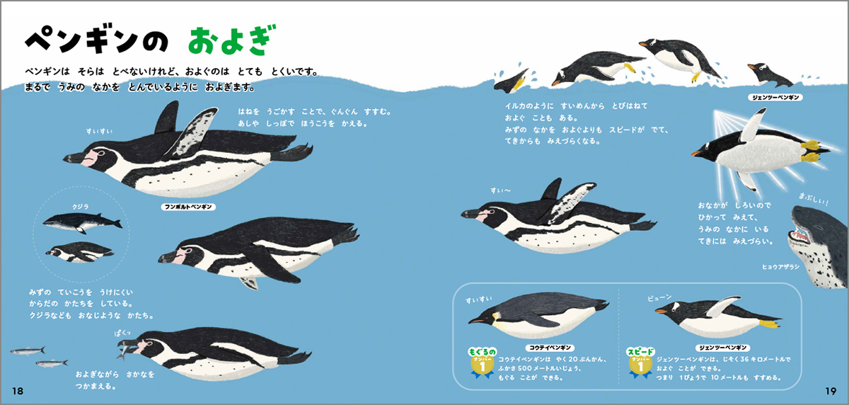 サムネイル画像5