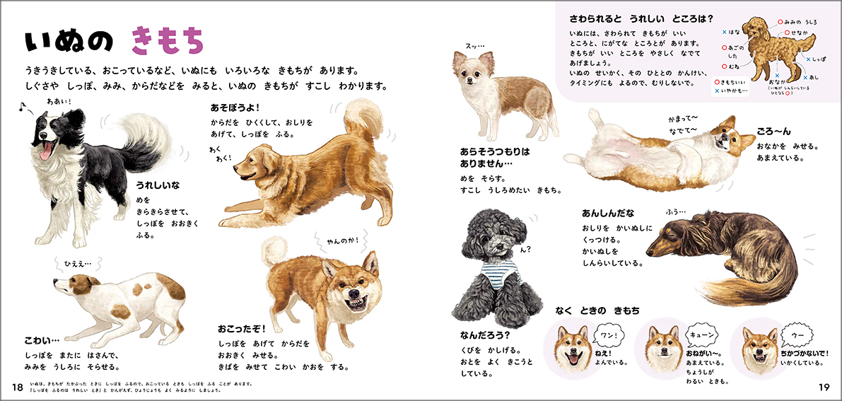 サムネイル画像4