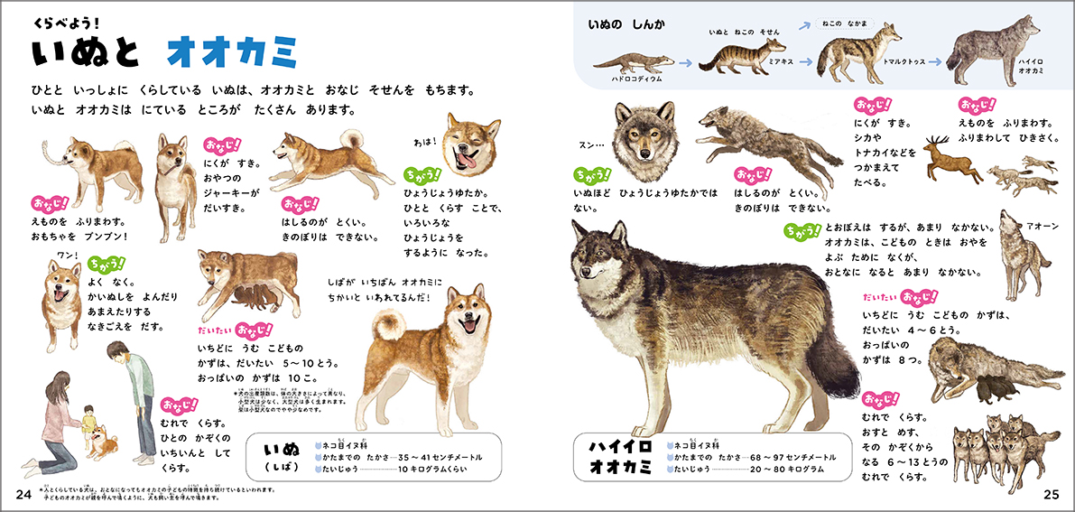 サムネイル画像5