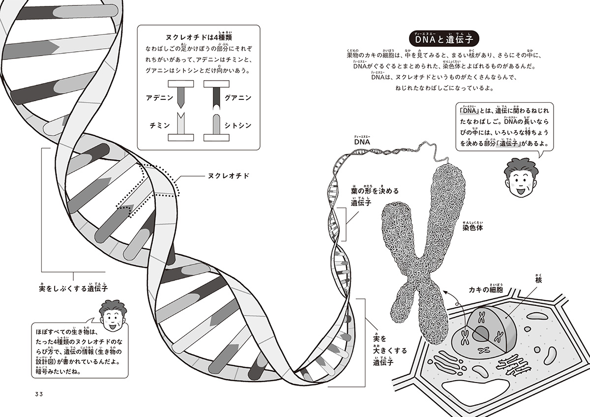 サムネイル画像4