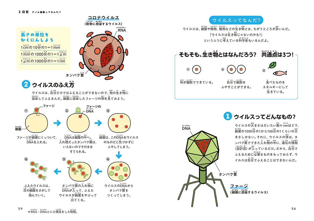 サムネイル画像5