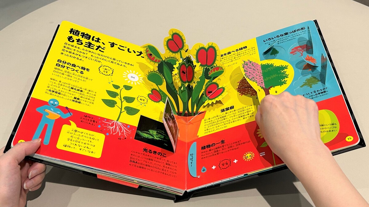 サムネイル画像3