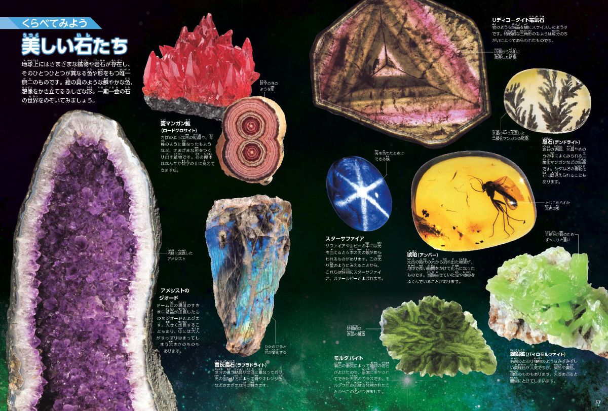 サムネイル画像5