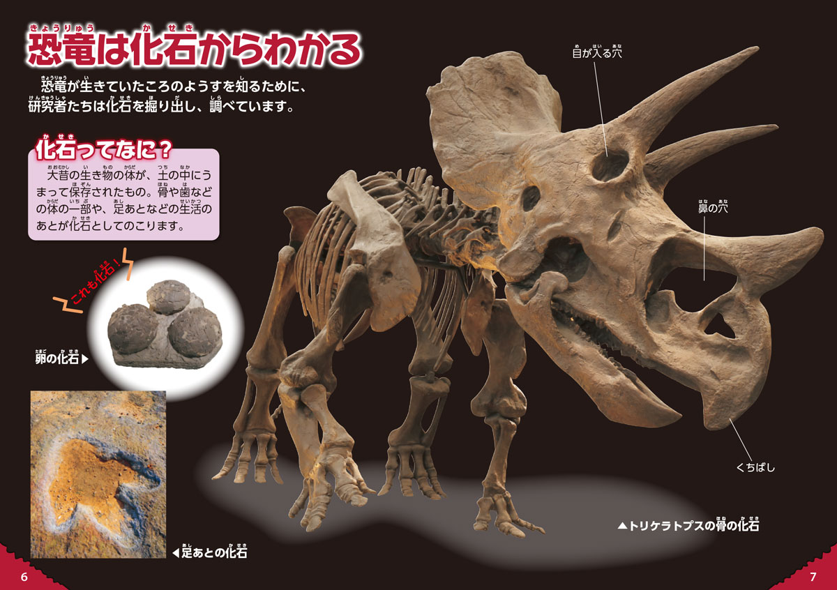 サムネイル画像2