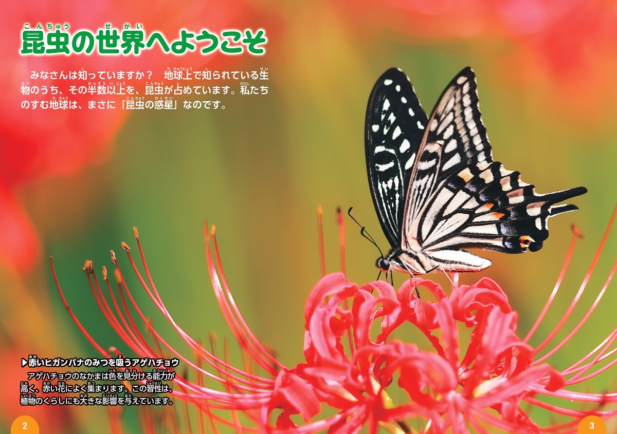 サムネイル画像1