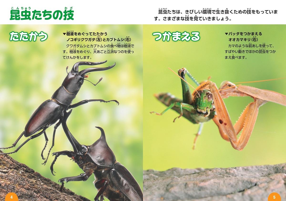 サムネイル画像2