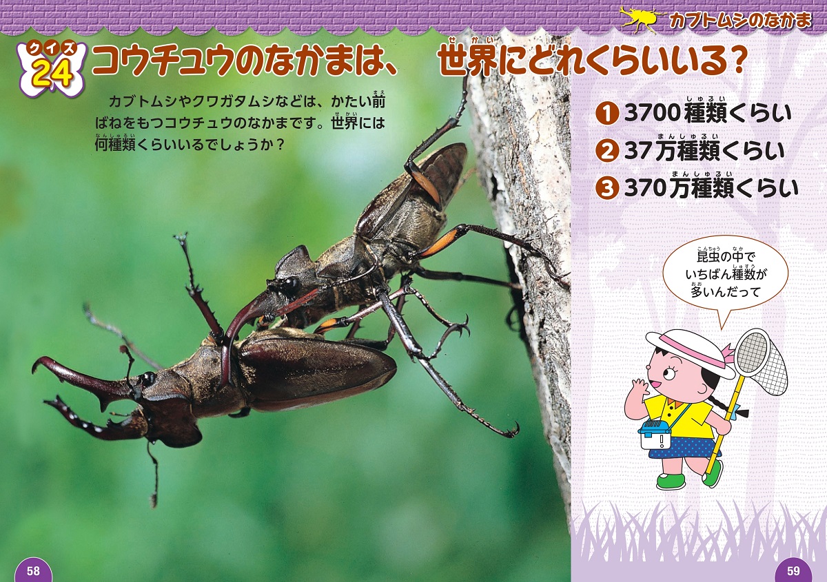 サムネイル画像3