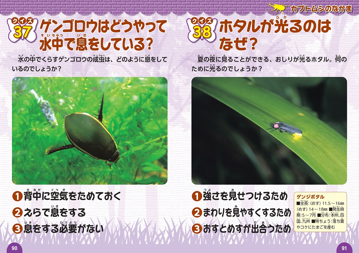 サムネイル画像4