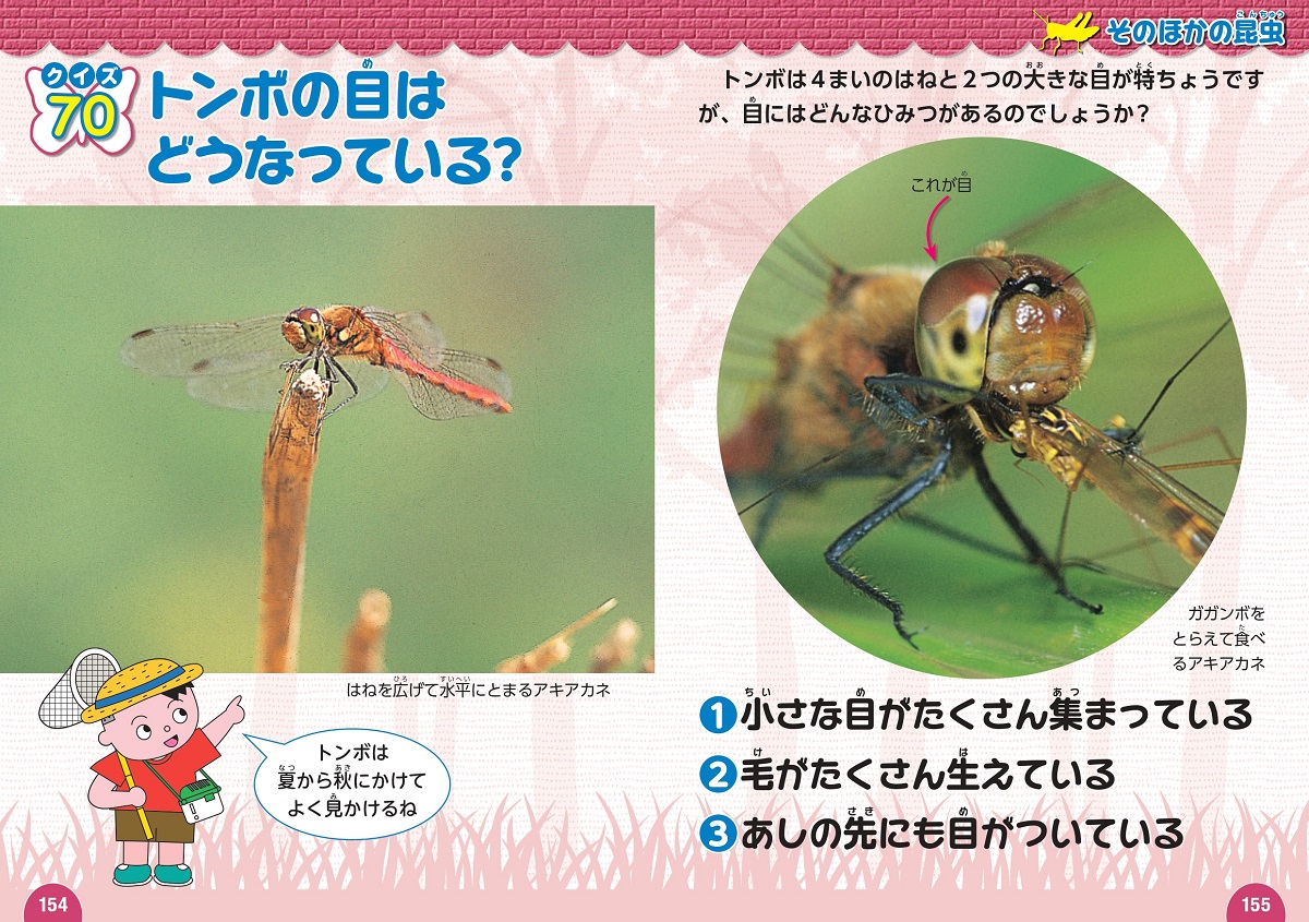 サムネイル画像5