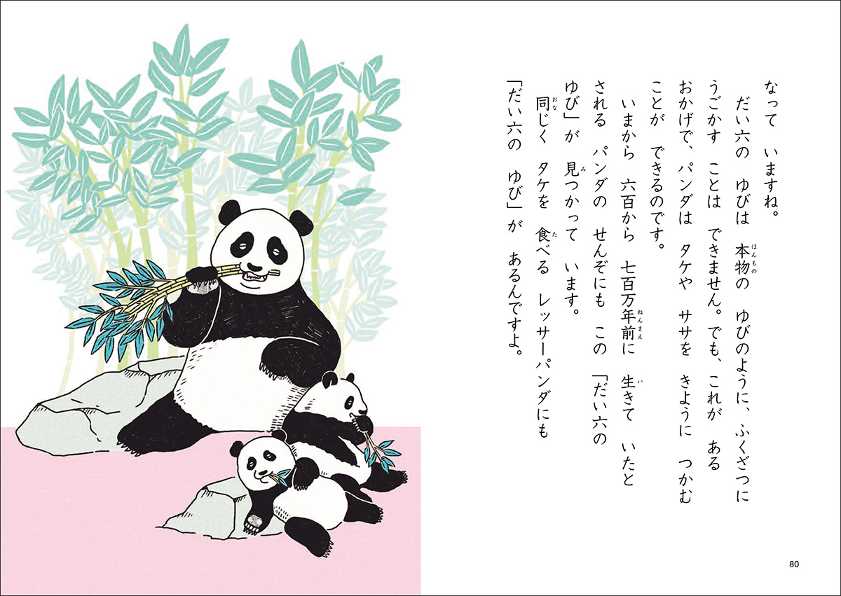 サムネイル画像5