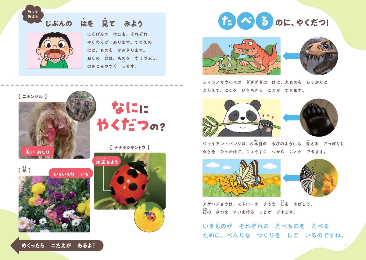サムネイル画像2