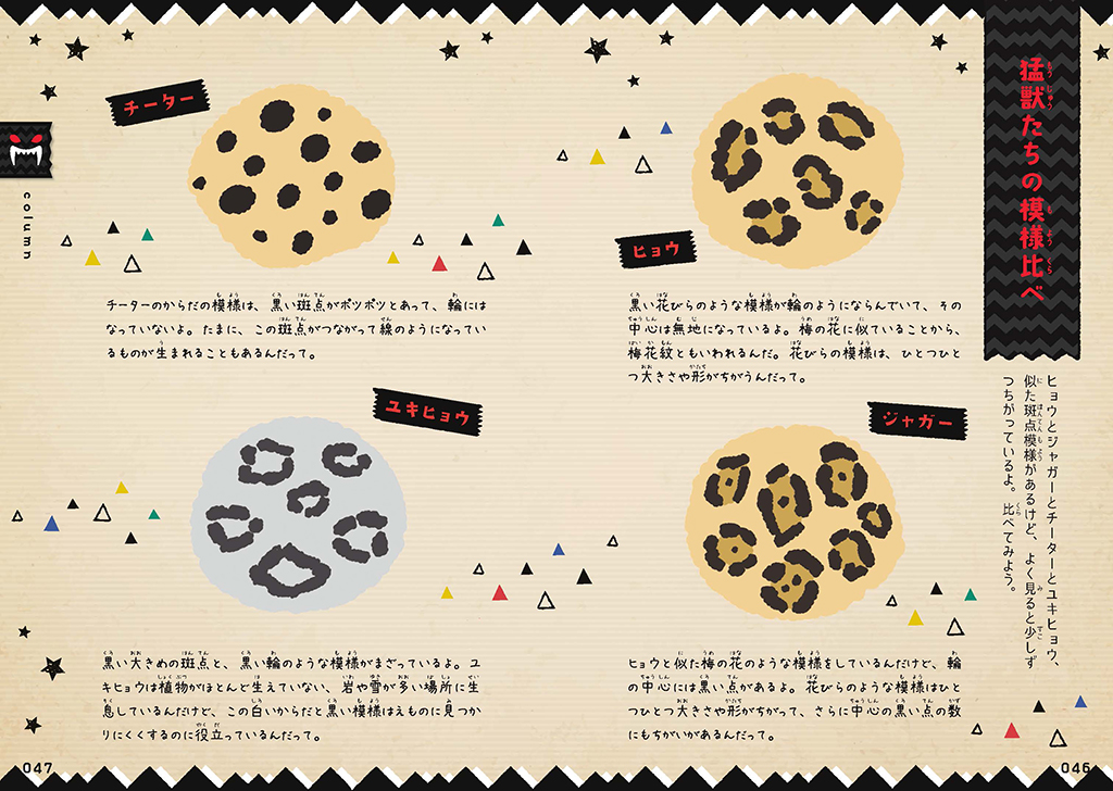 サムネイル画像5
