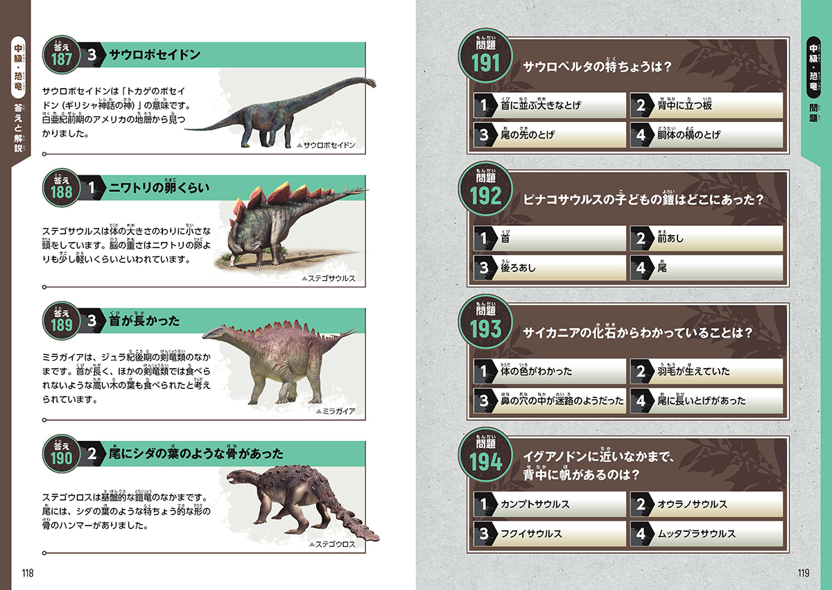 サムネイル画像3