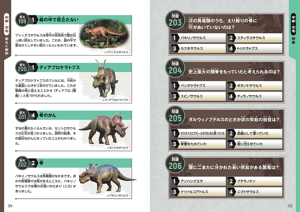 サムネイル画像4