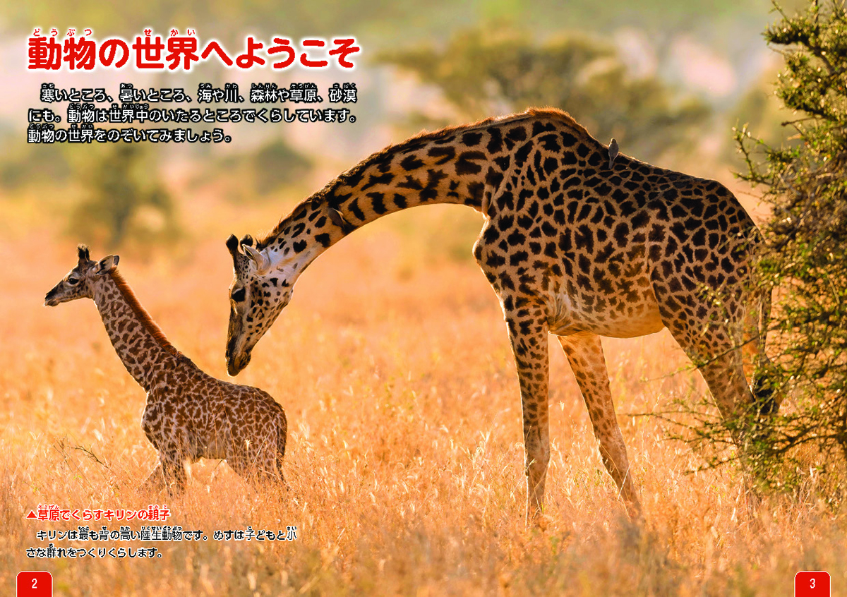 サムネイル画像1