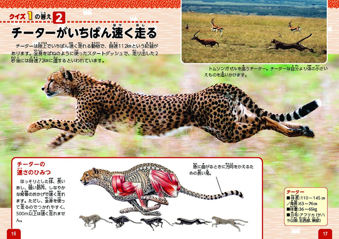 サムネイル画像4
