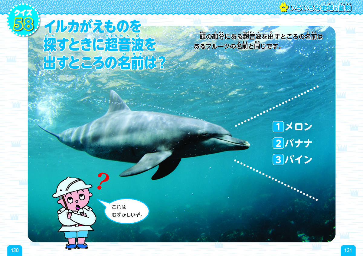 サムネイル画像5