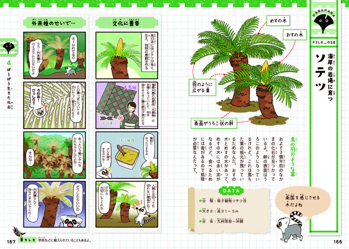 サムネイル画像4