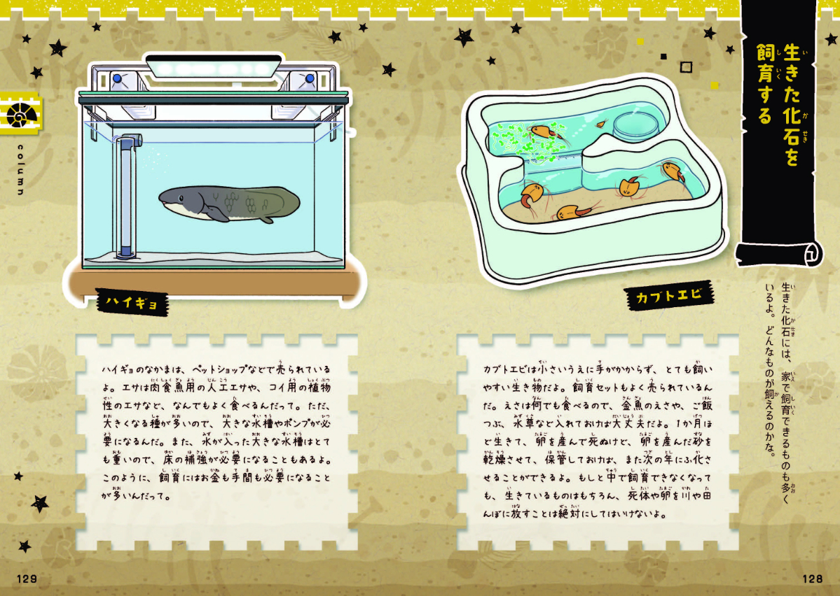 サムネイル画像5