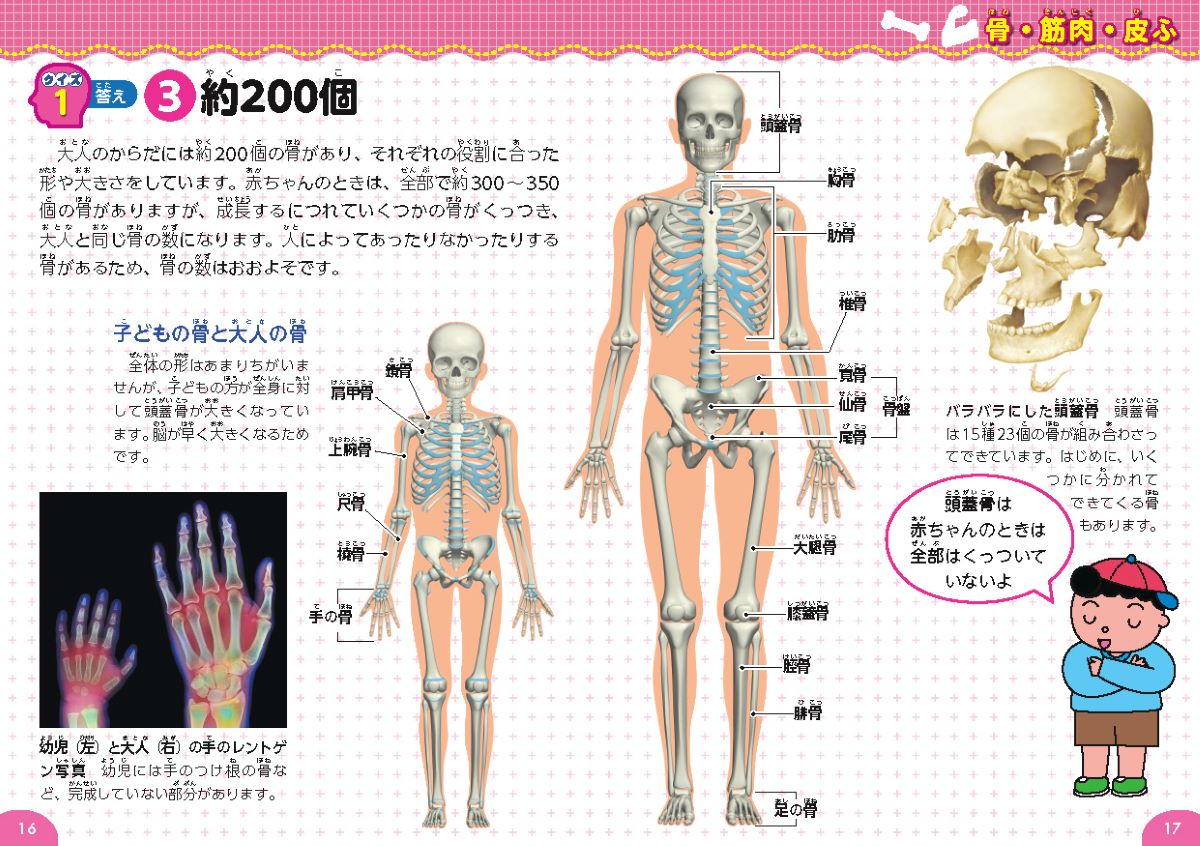 サムネイル画像4