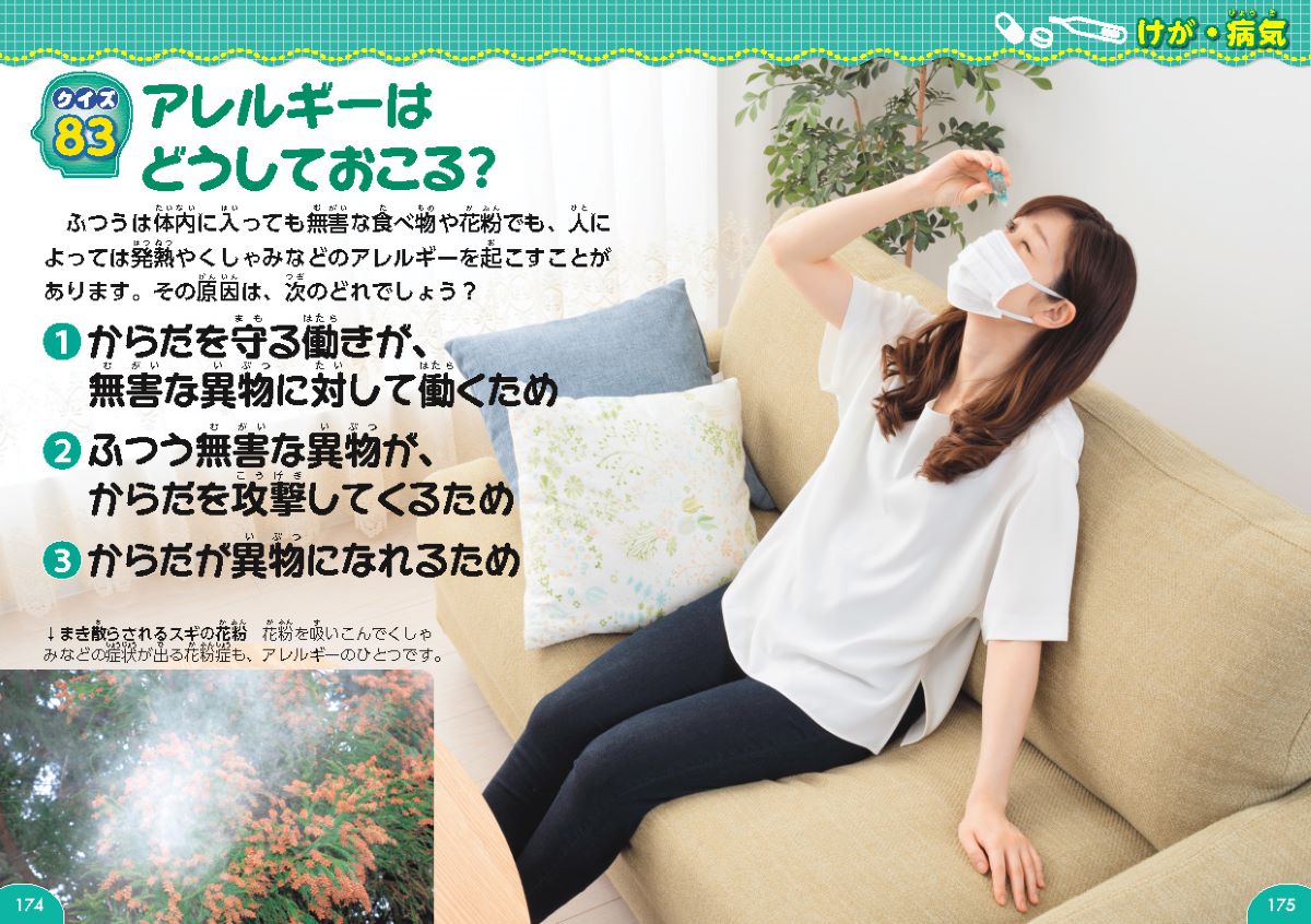 サムネイル画像5