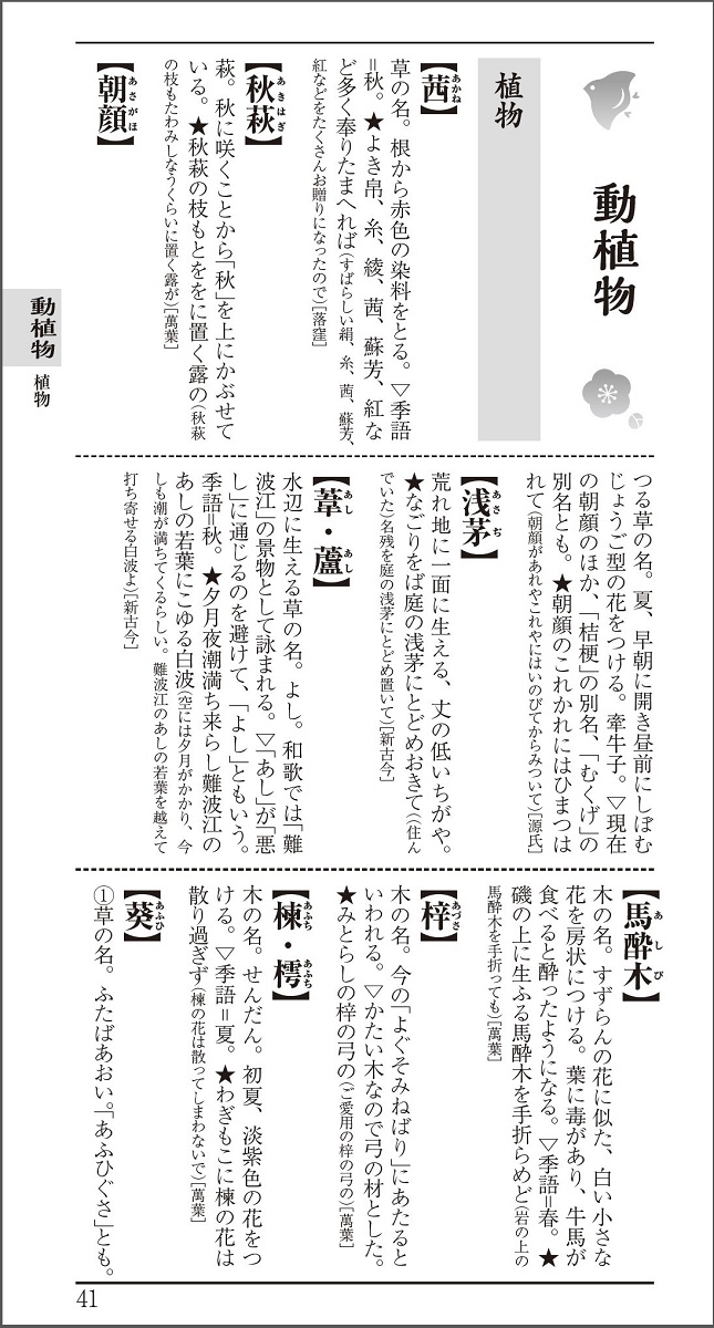 サムネイル画像3
