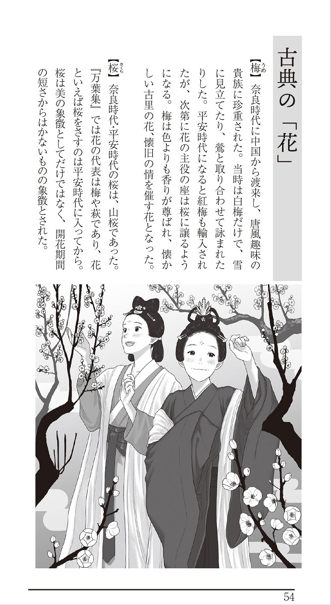 サムネイル画像4