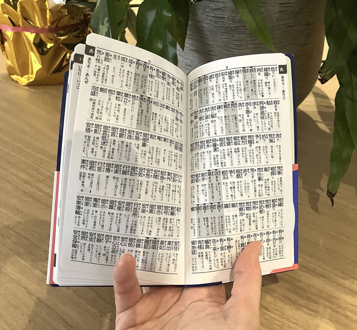 サムネイル画像5