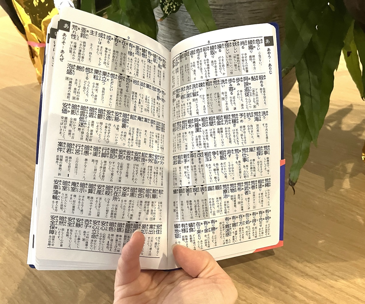 サムネイル画像5