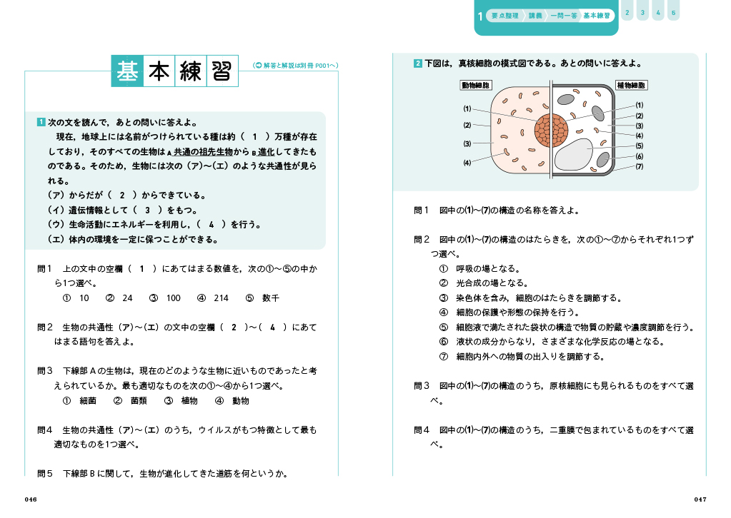 サムネイル画像5