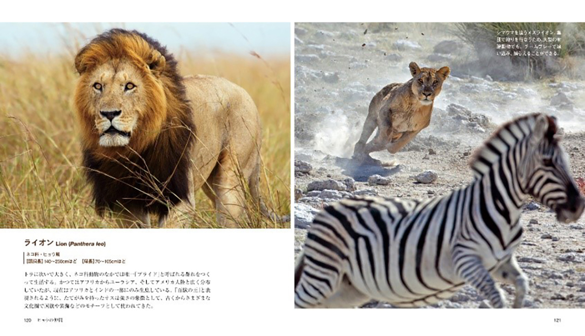 サムネイル画像2