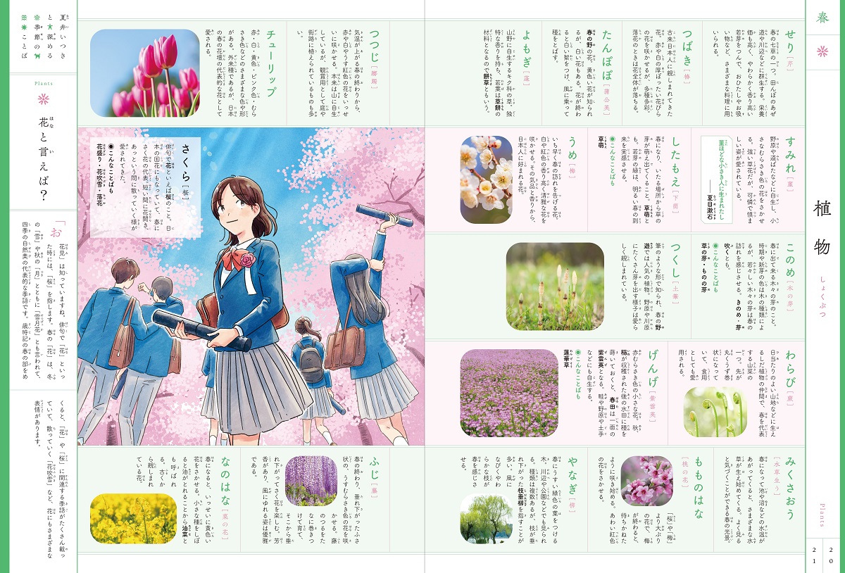 サムネイル画像2